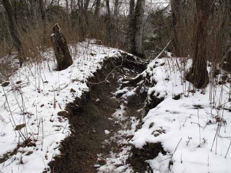 20160218hike (114)